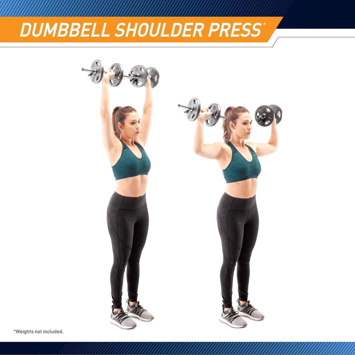 Marcy Hollow Curl Bar and Dumbbell Handle Set with Spring Collars(1 inch Diameter)